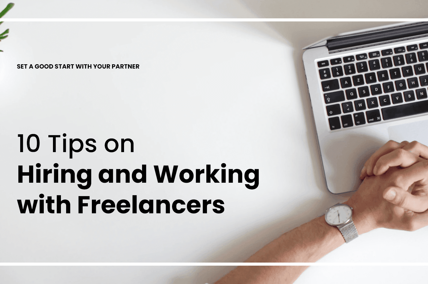 Freelancing Tips: How to Build a Successful and Sustainable Career